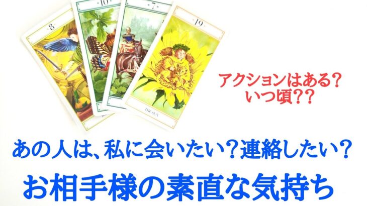 🌹恋愛タロット占い🌹あの人は、私に会いたいと思っていますか？連絡したいと思っていますか？お相手様の現状 あなたへの気持ち アクションあるか いつ頃かetc..
