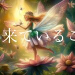 今、来ていること😽