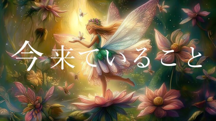 今、来ていること😽