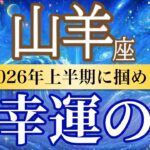【山羊座🌊2026年上半期】ついに結果が出る！積み重ねが力になる💎［運勢リーディング＆タロット＆オラクル］