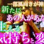 【🎍⛩一部風向きが神展開へ⛩🎍 】今年新たにあの人があなたに芽生える気持ちと変化🦄