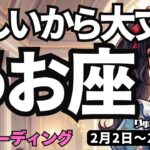 【魚座】♓️2026年2月2日の週♓️ご自分を信頼して、そして復活していく時。うお座。タロットリーディング