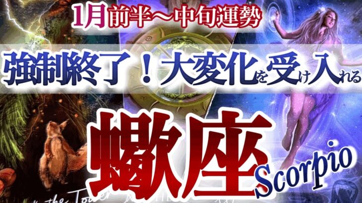 蠍座 1月前半~中旬【見逃さないで！まさかの大好転サイン】腹を括って変化を受け入れる　Scorpio 　2026年１月さそり座運勢　タロットリーディング　 January