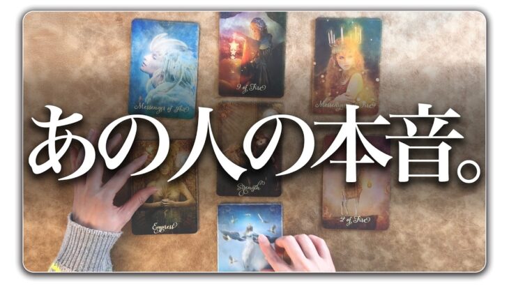 【鳥肌注意🥶】あの人の本音とこれからの二人について占います🎠✨見た時がタイミング【タロット占い】