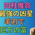 [四柱推命]羊刃は怖い？帝旺や偏官との関わりとは