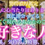 【🦋驚愕濃厚鑑定💞 】『この人に心当たりありますか？』既に出会ってる？もうすぐ現れるあなたのことが好きな人。関係、気持ち、時期、外見…🦋🦄