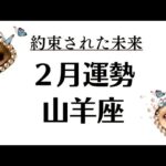 ２月❗️山羊座に約束された未来まぶし～❗️今起こってる事の意味が凄い。2026年2月全体運勢💘仕事恋愛評価や印象不安解消💘個人鑑定級タロットヒーリング Tarot & Oracle