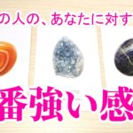 あの人の、あなたに対する一番強い感情  あなたへの想い、アドバイスなど　 恋愛タロット占い
