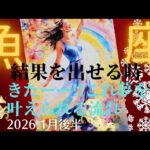 【2026.1月後半🎠】魚座さんの運勢♓️結果が出せる時🌈きたーー😳!!夢を叶えられる流れ✨✨