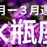 【水瓶座】2026年1月ー3月✨衝撃の神展開が出てしまいました😳