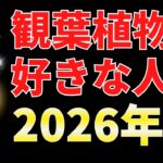 観葉植物を置くだけ！2026年幸せになる秘密【風水アドバイザーが解説】