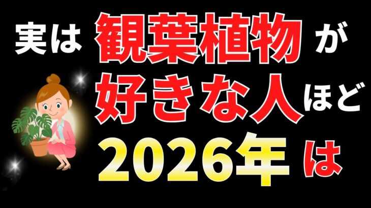 観葉植物を置くだけ！2026年幸せになる秘密【風水アドバイザーが解説】