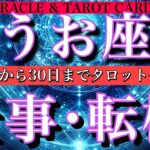 うお座♓️仕事運1月19日から30日までタロット一枚引き！ゆっくり広がる可能性❤️‍🔥Pisces tarot  reading