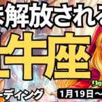 【牡牛座】♉️2026年1月19日の週♉️いま解放される私。直感が冴えわたり、何でもチャレンジしたくなる時。おうし座。タロットリーディング