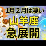 【山羊座】1月2月運勢は見逃し厳禁‼️急激に現実化すること🍀🌈💕