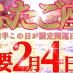 双子座さん見て！脳のSOS！？あらゆる報酬を受け取って！😲✨【2月前半運勢】♾️タロット占い♾️