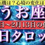 うお座♓️仕事運タロット2月2日から13日まで毎日1日1枚引きで解説！転機は？心境の変化は？