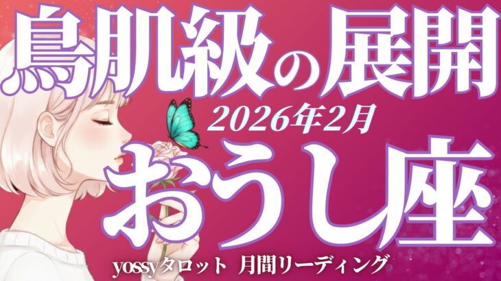 2月の運勢🪷おうし座　鳥肌級‼️牡牛座さんが大優勝の期間入ります✨もう心配ないです(お金・仕事・人間関係)
