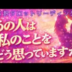 【リアルな本音🌟相手の気持ち】恋愛タロットカードリーディング🧚🏻‍♀️個人鑑定級占い🔮