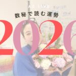 数秘で読む2026年の運勢