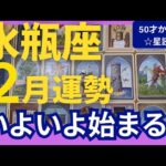 【水瓶座♒️2月運勢】うわっすごい！個人鑑定級のグランタブローリーディング✨いよいよ始まる✨お誕生日シーズン　水瓶座新月の超開運パワーが降り注ぐ（仕事運　金運）タロット＆オラクル＆ルノルマンカード