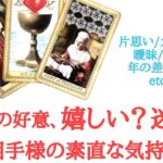 🌹恋愛タロット占い🌹私からの好意、嬉しい？それとも迷惑？お相手様の素直な気持ち 片思い カップル 曖昧 複雑 年の差 遠距離 復縁etc..