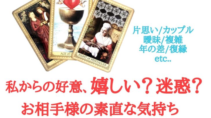 🌹恋愛タロット占い🌹私からの好意、嬉しい？それとも迷惑？お相手様の素直な気持ち 片思い カップル 曖昧 複雑 年の差 遠距離 復縁etc..