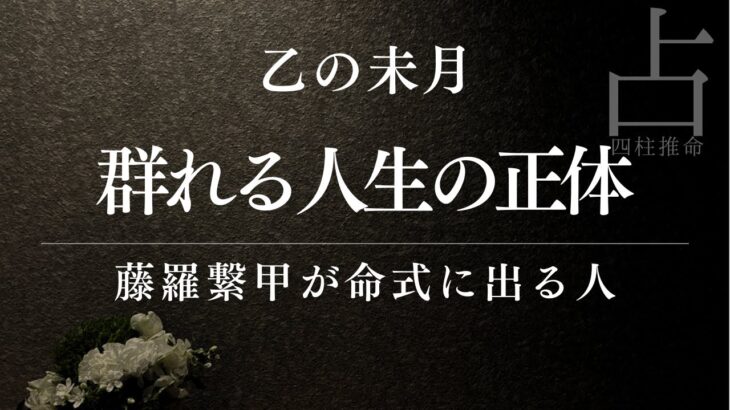 【四柱推命】群れる人生の正体｜藤羅繋甲は28歳からが勝負