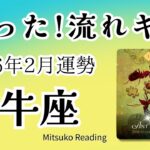 牡牛座2月は大満足！解放感が凄い。人気運がup！2026年2月運勢【癒しのタロット個人鑑定級】