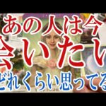 【3択恋愛タロット占い】あの人はあなたにどれくらい会いたいと思ってる？タロット・オラクルカード🩵個人鑑定級恋愛・片想い・復縁リーディング！