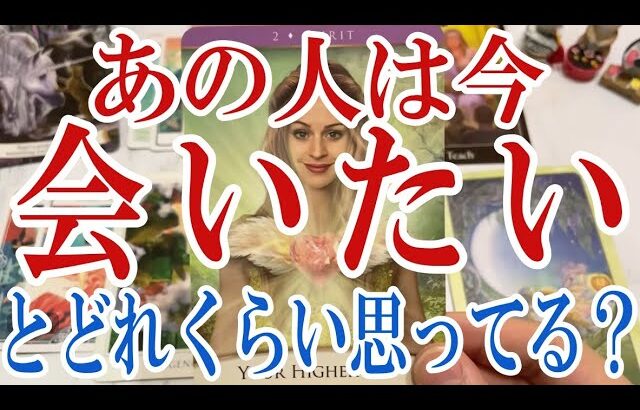 【3択恋愛タロット占い】あの人はあなたにどれくらい会いたいと思ってる？タロット・オラクルカード🩵個人鑑定級恋愛・片想い・復縁リーディング！