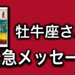 【最高の2月を迎えます✨牡牛座さんへのメッセージ💌】全体運⭐️仕事運⭐️恋愛運🩷において最もラッキーなお誕生日の方をお伝えします🩷ガッツリ読み解きました🃏