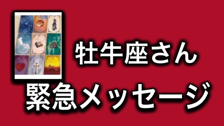 【最高の2月を迎えます✨牡牛座さんへのメッセージ💌】全体運⭐️仕事運⭐️恋愛運🩷において最もラッキーなお誕生日の方をお伝えします🩷ガッツリ読み解きました🃏