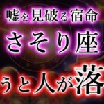 さそり座《ウソを見破る》嫌うと人が落ちる【蠍座が背負う宿命】を解説。