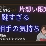 【恋愛タロット🪄】片想い🌷謎すぎるあの人の気持ち鑑定します🫡