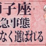 【⚠️怖いほど当たる…】⚠️ 獅子座は2月前半にとんでもないことが起こります。運命が切り替わる重要サイン【運勢タロット占い】