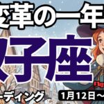 【双子座】♊️2026年1月12日の週♊️行動しながら考える。大変革の一年が来た。勝利が待っている。ふたご座。タロットリーディング