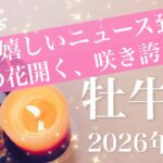 【おうし座】2026年2月♉️ 1番の大吉報！これ以上ない恵み、違和感はもう終わり、何年ぶり？抜けた先の青空、成就のとき