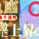 魚座さん見て！予期せぬ不労所得は一旦貯蓄しよう！😲✨♾️【1月後半運勢】♾️タロット占い♾️