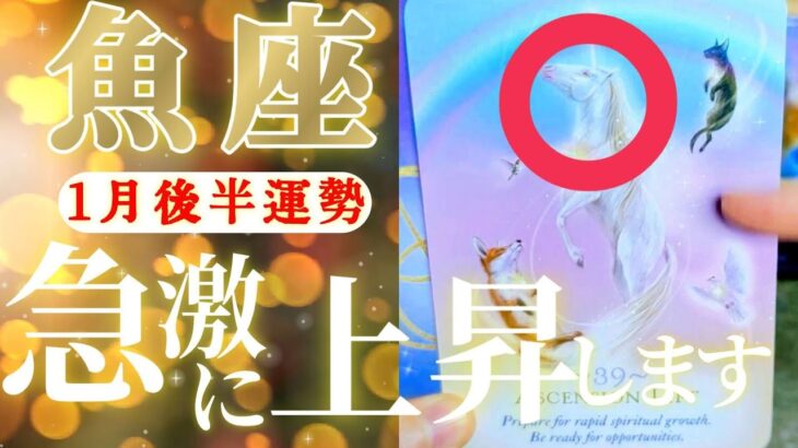 魚座さん見て！予期せぬ不労所得は一旦貯蓄しよう！😲✨♾️【1月後半運勢】♾️タロット占い♾️