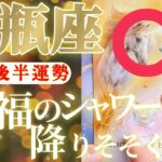 水瓶座さん見て！こんな凄い事アナタにしか出来ないでしょ！😲✨【1月後半運勢】♾️タロット占い♾️
