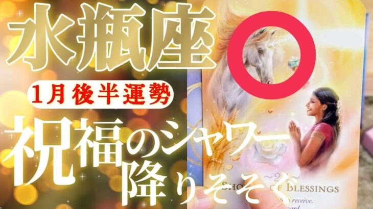 水瓶座さん見て！こんな凄い事アナタにしか出来ないでしょ！😲✨【1月後半運勢】♾️タロット占い♾️
