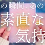 【最新💗本音】あの人が動いてきます🏇今この瞬間、あなたに対する超素直な気持ちを深掘り🔮【恋愛タロット】【あの人の気持ち】