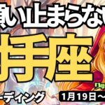 【射手座】♐️2026年1月19日の週♐️止まらないで。辛いことは乗り越えて、自由になれるから。いて座。タロットリーディング