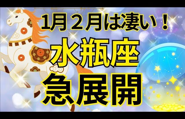 【水瓶座】1月2月運勢は見逃し厳禁‼️急激に現実化すること🍀🌈💕
