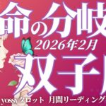 2月の運勢🪷ふたご座　マジで激変する…‼️あなたの想いのままに進んでいける✨軽いのが正義❗️重いのは卒業🌈(お金・仕事・人間関係)