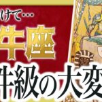 【⚠️怖いほど当たる】牡牛座の未来にとんでもないことが起きます… 運命が切り替わる重要サインあり Akari先生