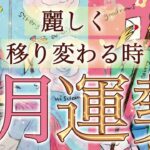 【2月運勢】状況が一気に動きます。ここからの展開を絶対に見逃さないでください。起こりそうな事、気をつけること、恋愛仕事健康運、ラッキーアイテム、カラー🌹個人鑑定級