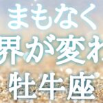 #牡牛座♉️【どんな景色に変わるのか🍀前兆サインも！※結論からお伝えします】やっぱり今年はイケイケだぁ〜✨どんどん動いてみよう🙌イベント詳細は概要欄へ💌※タイムスタンプあり