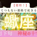 【驚愕】とてつもない連絡で起きる奇跡❗️2026年1月下旬　蠍座　神秘の十字架タロット占い　#タロットカード#タロット#運勢#1月#とてつもない連絡#恋愛#占い#タロット占い#2026年#蠍座